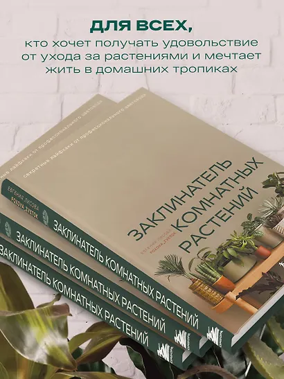 Заклинатель комнатных растений. Секретные лайфхаки от профессионального цветовода - фото 7
