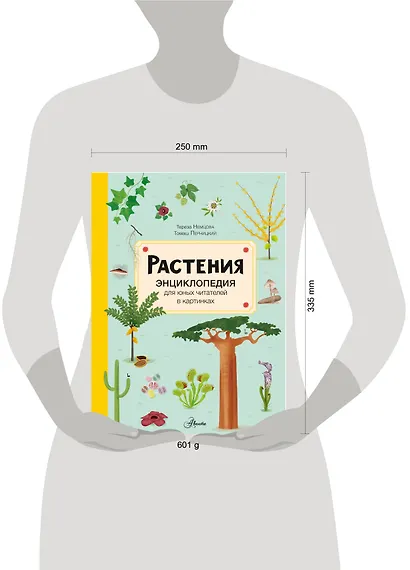 Растения. Энциклопедия для юных читателей в картинках - фото 10