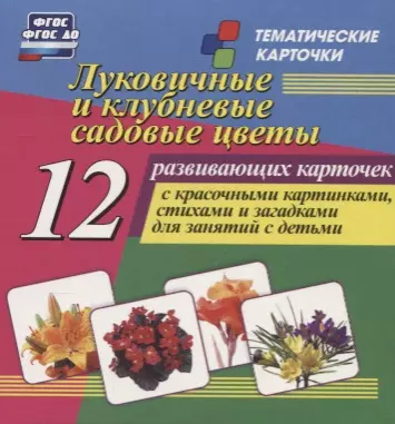 Луковичные и клубневые садовые цветы. 12 развивающих карточек с красочными картинками, стихами и загадками для занятий с детьми - фото 1