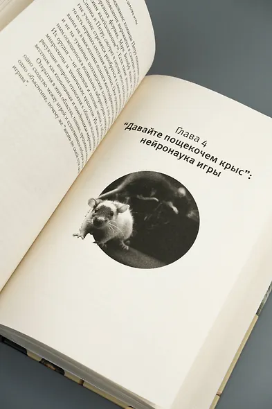 Царство игры - фото 10