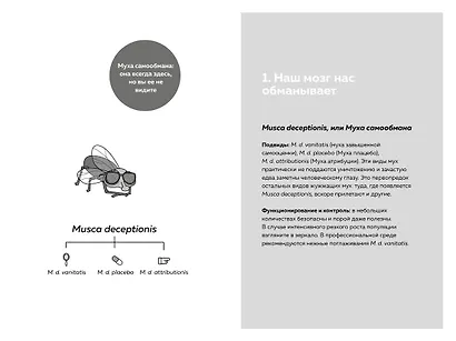 Мой мозг мне врёт! Феномен эффекта жужжащей мухи - фото 14