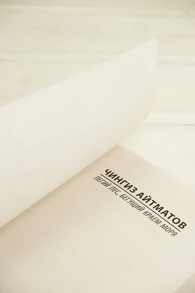 Пегий пес, бегущий краем моря - фото 7