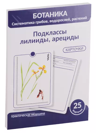 Ботаника. Систематика грибов, водорослей, растений. Подклассы лилииды, арециды. 25 карточек - фото 1
