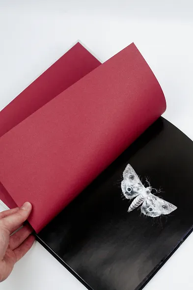 Спящие красавицы. Том 2 - фото 6