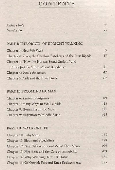 First Steps. How Walking Upright Made Us Human - фото 2