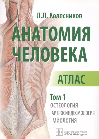 Анатомия человека Атлас т. 1/3 тт. Остеология Артросиндесмология Миология (м) Колесников - фото 1