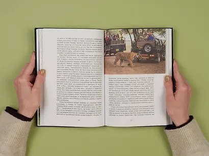 Экология наизнанку. Как работают международные экологические сообщества в России и за рубежом. Книга 1. - фото 6