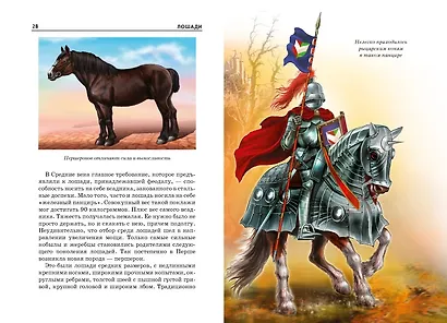 Лошади - фото 2