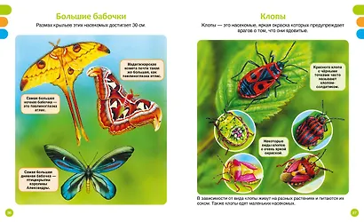 Животные-малютки - фото 8