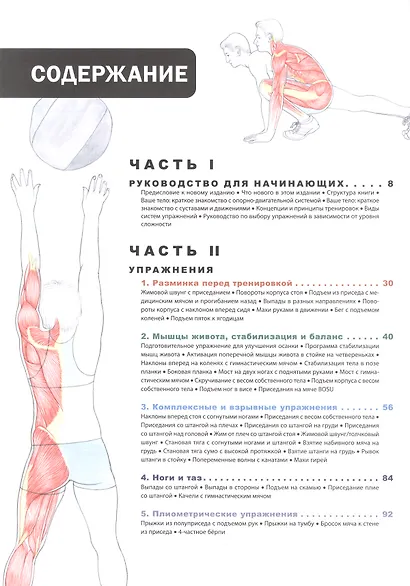 Анатомия фитнеса и силовых упражнений: иллюстрированный справочник по мышцам в действии - фото 2