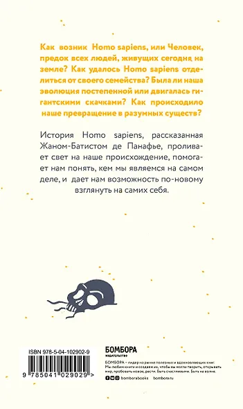 Сапиенс для пляжа: изучаем происхождение человека - фото 2