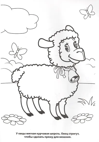 Домашние Животные. Прозрачные Страницы. - фото 5