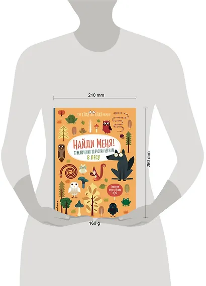 Найди меня! Приключения волчонка Бернара в лесу - фото 4