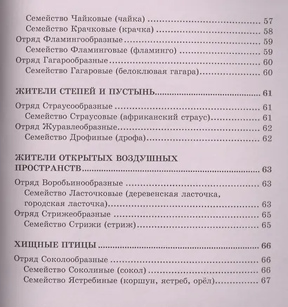 Птицы - фото 5