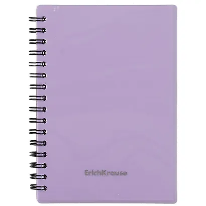 Записная книжка А6 80л кл. "Candy" серебрян.перламутр, пласт.обл., спираль, ErichKrause - фото 3