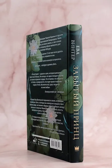 Забытый принц - фото 6