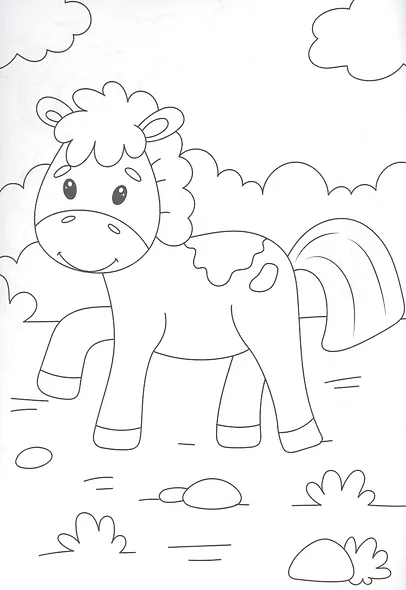 РАСКРАСКА А4 эконом. ДОМАШНИЕ ЖИВОТНЫЕ - фото 5