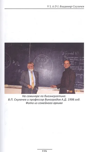 VLADI. Владимир Скулачев - фото 6
