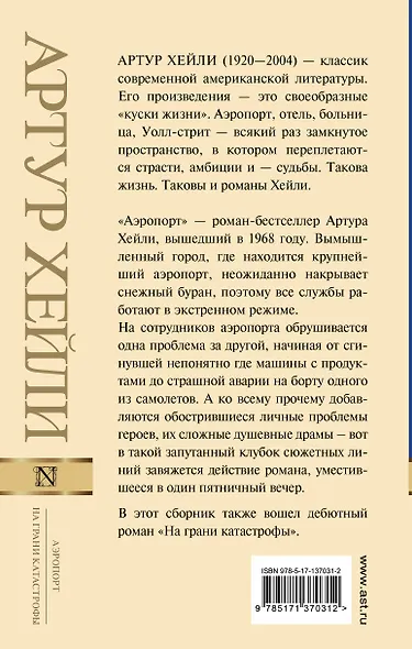 Аэропорт. На грани катастрофы - фото 2