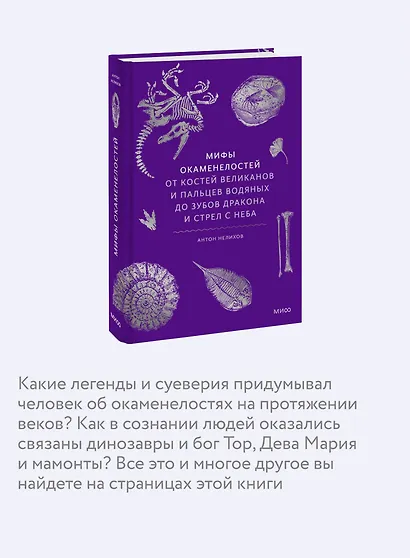 Мифы окаменелостей. От костей великанов и пальцев водяных до зубов дракона и стрел с неба - фото 6