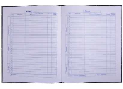 Дневник для средних и старших классов Феникс+, "Созвездие знаний" - фото 2