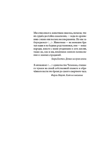 Ворон - фото 3