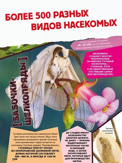 Большая энциклопедия о насекомых. 500 фотографий и фактов - фото 6