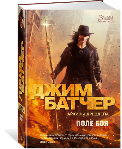 Архивы Дрездена. Поле боя - фото 3