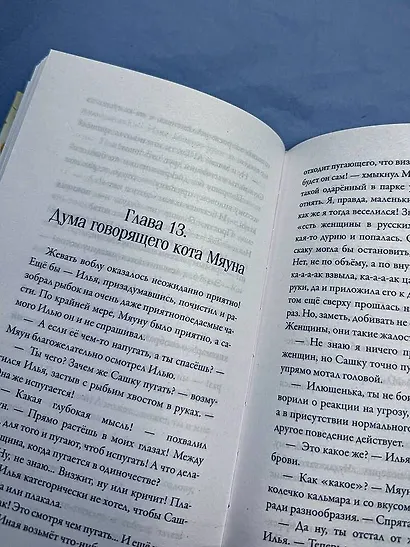 Счастье обыкновенного говорящего кота Мяуна - фото 12