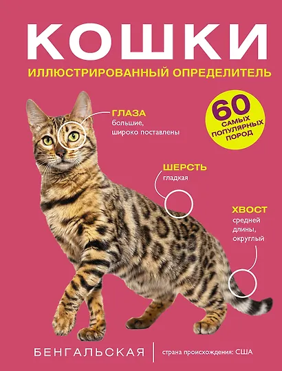 Кошки. 60 самых популярных пород. Иллюстрированный определитель - фото 1
