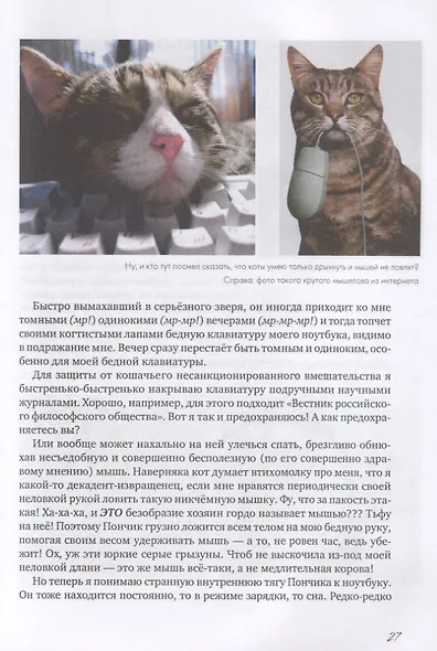 Коты и Кошки. Заметки диванного натуралиста - фото 6