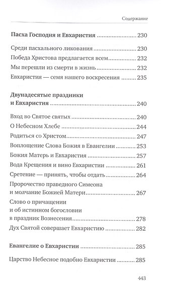 Святые Дары. «Можете ли пить чашу, которую Я пью?» - фото 5