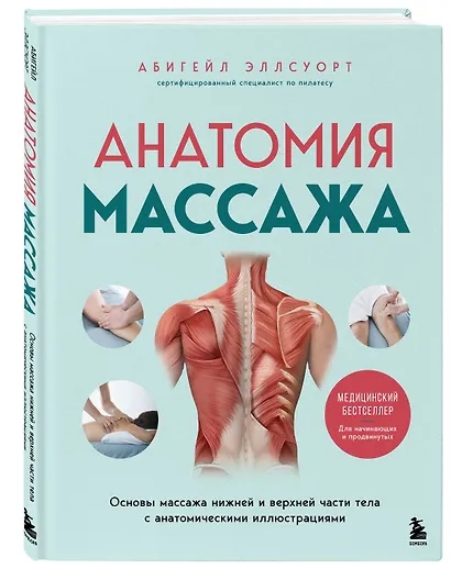 Анатомия массажа. Основы массажа нижней и верхней части тела с анатомическими иллюстрациями - фото 3