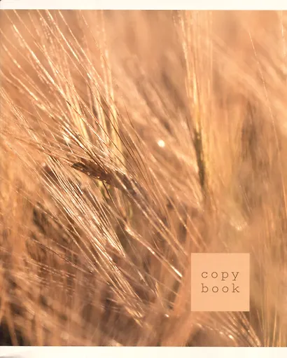 Тетрадь в клетку Listoff, "Сила стихии", 96 листов, в ассортименте - фото 3