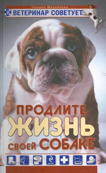 Ветеринар советует. Продлите жизнь своей собаке - фото 1