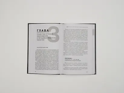 Педагогика гениальности. Как воспитать талантливого ребенка - фото 12