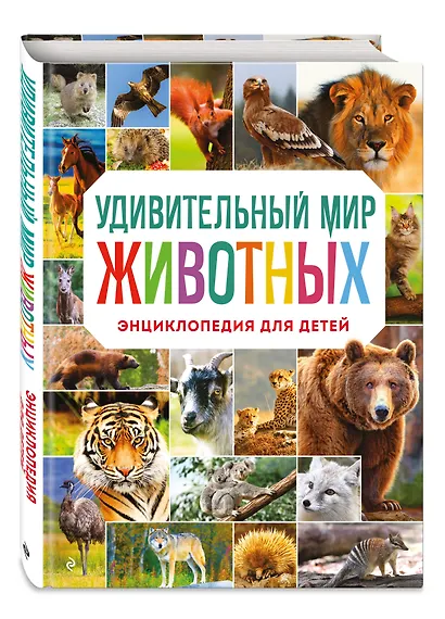 Удивительный мир животных. Энциклопедия для детей - фото 3