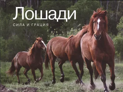 Лошади. Сила и грация - фото 2