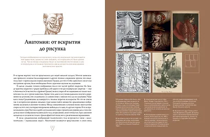 Кабинет редкостей – анатомических, медицинских и жутких - фото 5