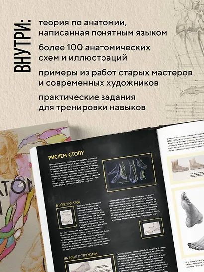 Анатомия Рэя. Большое руководство по рисунку для художников - фото 5