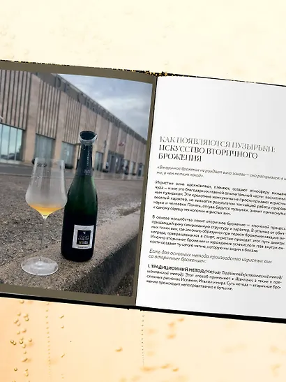 Игристое. От просекко и кавы до шампанского. История, регионы, выбор - фото 9
