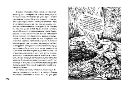 Убийство на улице Морг. Мистические рассказы - фото 10