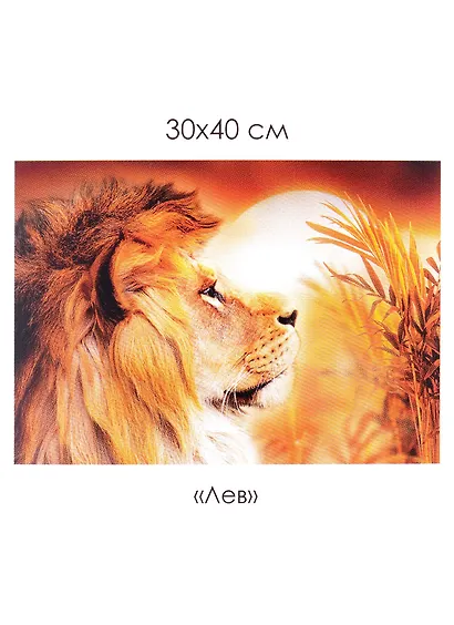 Набор для творчества. Алмазные узоры "Лев", 30 х 40 см - фото 1