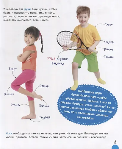 Тело человека (Первая энциклопедия) - фото 4