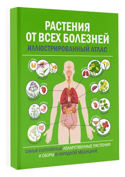 Растения от всех болезней. Иллюстрированный атлас - фото 3