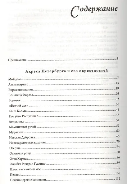 Петербург. Книга для справок и чтения. Адреса, сюжеты и архитектурные истории Северной столицы - фото 2
