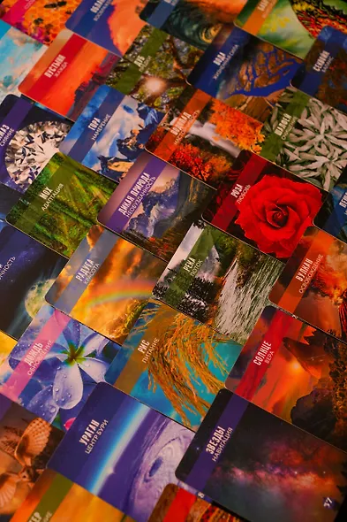 Сила природы. Оракул. 44 карты и руководство. Таро, гадания и знаки - фото 11