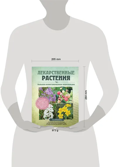Лекарственные растения. Большая иллюстрированная энциклопедия - фото 4
