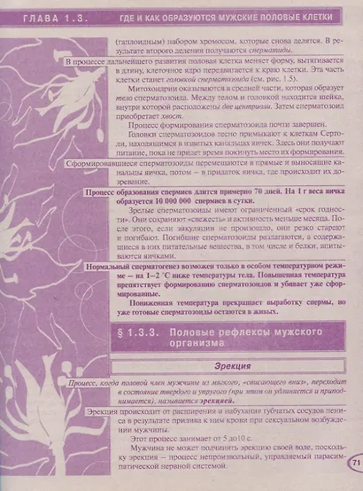 Энциклопедия. Мы ждем ребенка. Таинство зачатия. Счастливая беременность. Успешные роды - фото 4