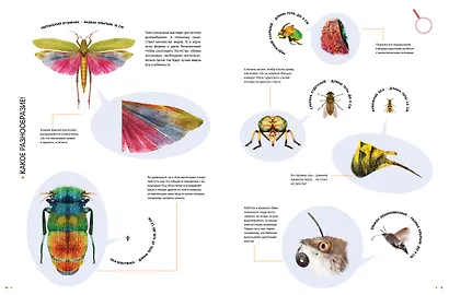 Насекомые в натуральную величину - фото 9